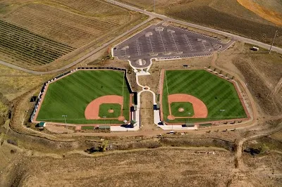 Gameday Baseball - Parker photo 2