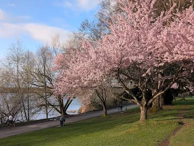 Green Lake Park photo 3