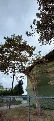 Green Meadows Recreation Center photo 5