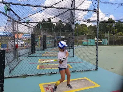 Harbor Light Ball Yard photo 3