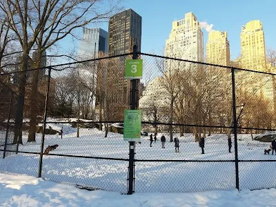 Heckscher Fields - Kickball Field 3 photo 2