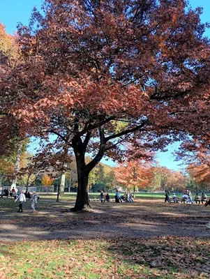 Heckscher Fields - Kickball Field 3 photo 5