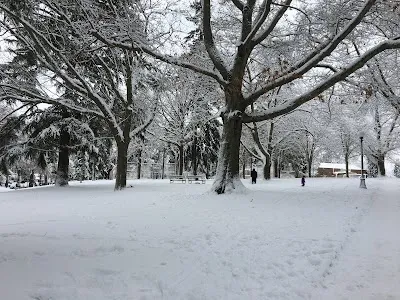 Hiawatha Playfield photo 3