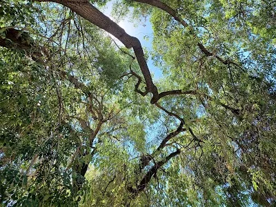 Holmes Park