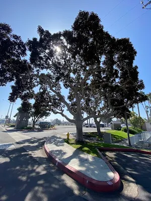 Holmes Park photo 5