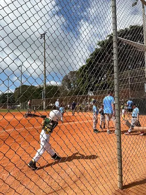 Howard Palmetto Baseball & Softball Association photo 3