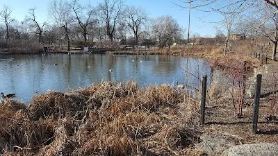 Humboldt Park Baseball Junior Softball Field photo 5