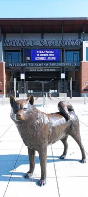 Husky Ballpark photo 4