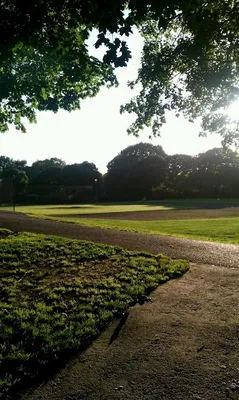 Irving Park Baseball Field