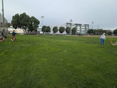 Jackson Ball Diamond 2