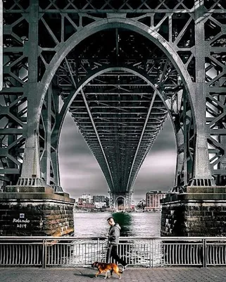 John V. Lindsay East River Park photo 3