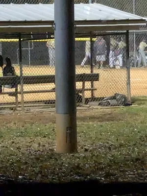Johnson Street Sports Complex photo 5