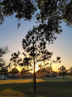 Katy National Park photo 4