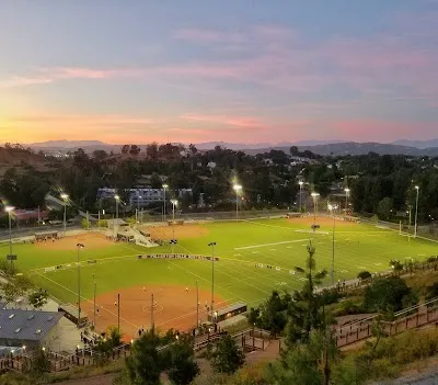 Lions Field