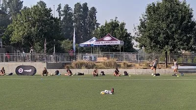 Lions Field photo 3