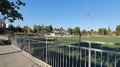 Lions Field photo 4