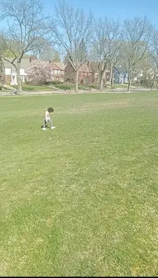 Lomond Athletic Fields photo 3