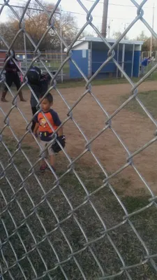 Madison Little League photo 5