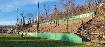 Magee Field photo 2