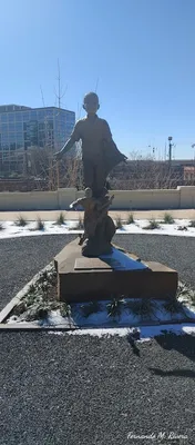 Mavs Ballpark photo 5