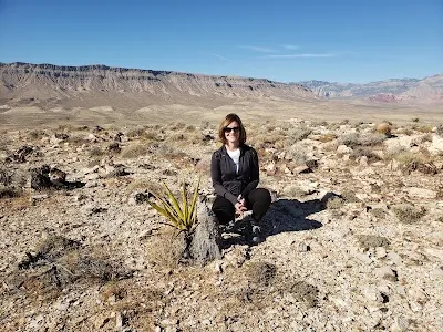 Mesa Park photo 5