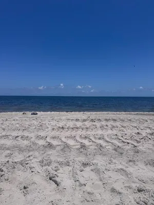 Miami-Dade Parks & Recreation