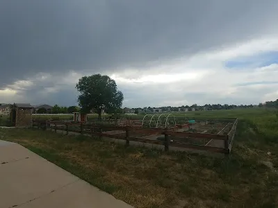 Mike Lansing T-ball Fields photo 4