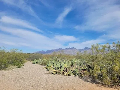 Morris K Udall Park and Recreation Center photo 5