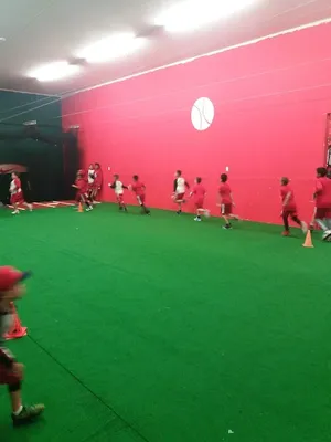 Perfect Swing Baseball&Softball Academy photo 2