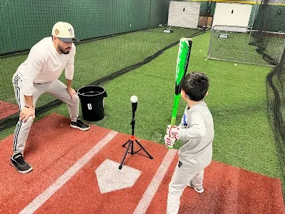 PRO SIM BATTING SIMULATOR