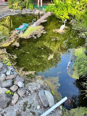 Putting Zoo photo 5