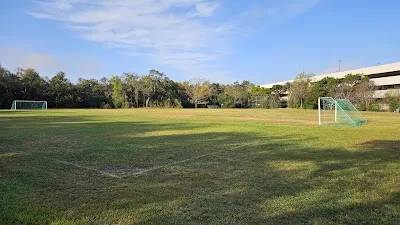 Quarry Field