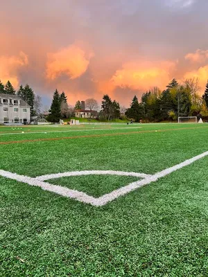 Queen Anne Bowl Playfield