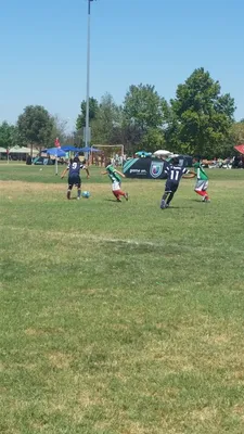 Regional Sports Complex photo 5