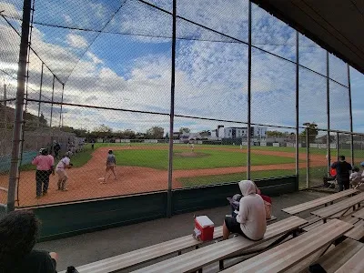 Rickey Henderson Field photo 2