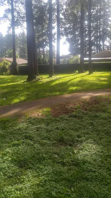 Rockwood Park Sports Fields photo 3