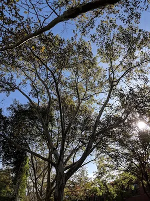 Seton Park photo 2