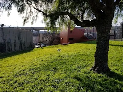 Silver Terrace Athletic Fields photo 3