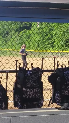 Softball City Sports Complex photo 5