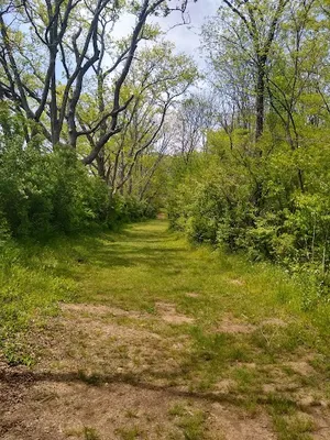 Softball Complex-A photo 2