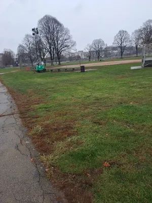 Softball fields
