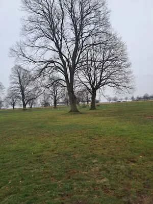 Softball fields photo 2