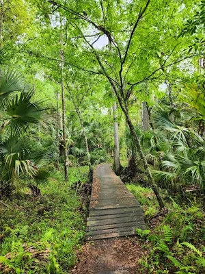 Soldiers Creek Park photo 5