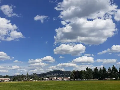 South Hill Sports Complex photo 3