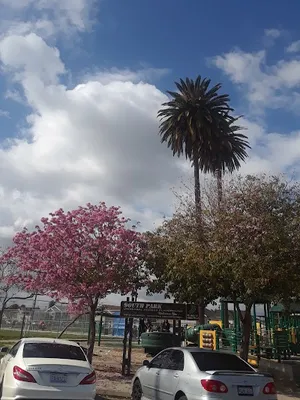 South Park Recreation Center photo 4