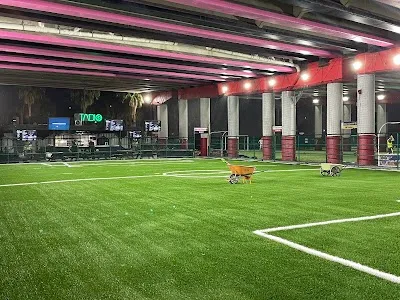 Stadio Soccer