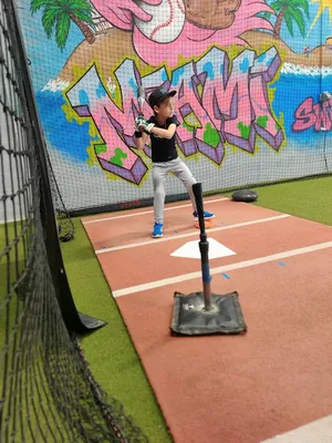 Swing Lab photo 3
