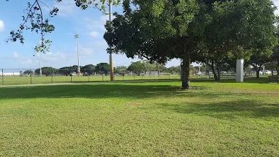 Tamiami Baseball