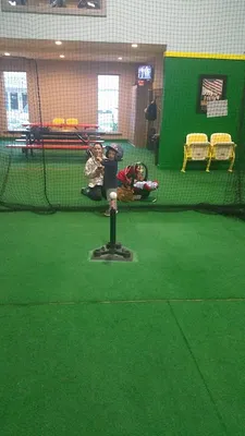 The-Cage