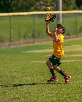 The Farm System-Baseball Training